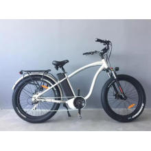 High Quality Two Wheel 48V 1000W Electric Mountain Bicycle